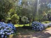 CHÁCARA COM 5.500M² E 03 CASAS EDIFICADAS NO BAIRRO SÃO...