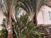 Chácara com 5 dormitórios à venda, 2866 m² por R$...