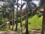 Chácara com 5 dormitórios à venda, 7000 m² por R$...