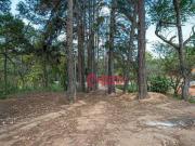 Chácara com 6 dormitórios à venda, 13000 m² por R$...