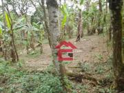 Chácara com 8 dormitórios à venda, 9300 m² por R$...