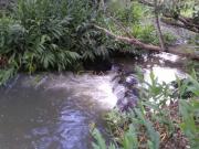 Chacara Com CÃ³rrego a venda