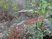 Chácara com Lago à venda em Mairiporã Com Escritura por...