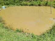 Chacara com piscina e lago