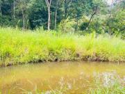 Chácara com rio no quintal, lago, muita natureza e...