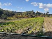 Chácara de 2 Hectares no Córrego do Atoleiro Planaltina DF