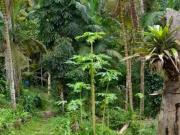 Chácara de 800 m² Congonhal Embu Guaçu, à venda por R$...