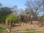 Chácara com 2 dormitórios à venda, 9840 m² por R$...