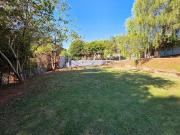 Chácara dos Sonhos em Itapira: Preço Imperdível!