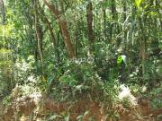 Chácara em Araucária / Rio Verde