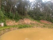 Chácara em Borda do Campo, São José dos Pinhais/PR de...