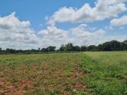 CHACARA EM CAMPO GRANDE MS 12 HECTARES PRO.