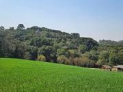 Chácara em Capela Velha, Araucária/PR de 20000m² 1...