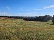 Chácara em Centro, Campo Magro/PR de 48400m² 1 quartos à...