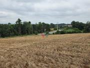Chácara em Guajuvira, Araucaria/PR de 17000m² à venda...