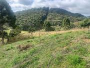 Chácara em, Tijucas do Sul/PR de 10m² 2 quartos à venda...