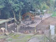 Chácara em Pau Arcado Campo Limpo Paulista