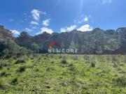 Chácara em Rua Geral Contendas São Francisco de Paula/RS