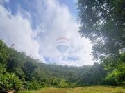 Chácara em Santa Rosa, Teresópolis/RJ de 90000m² 4...