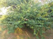 CHACARA EM TAUBATÉ SP