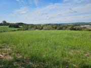 Chácara em Zona Rural, Araucaria/PR de 23000m² 1 quartos...