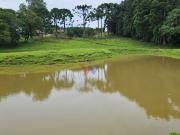 Chácara em Zona Rural, Araucaria/PR de 250m² 6 quartos à...