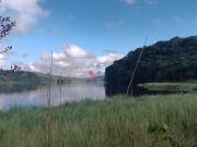 Chácara em Zona Rural, Araucaria/PR de 50m² 2 quartos à...