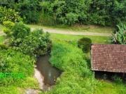 Chacara, Esperança, Maratá, RS