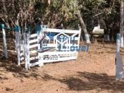 Chácara Luziânia 4 Quartos 1 Suíte 04 Hectares Quintal...