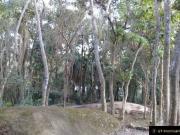 Chácara Mairiporã em Condomínio 1200m² Acesso Particular...