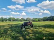 Chácara no Condomínio Santa Filomena em Salto, ideal...