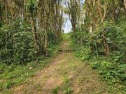 Chácara no Passaúna com 3 dormitórios à venda, 40000 m²...