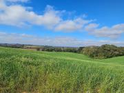 Chácara para venda em Área Rural De Araucária em...