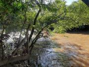 Chácara para venda em Área Rural De Pirajuí em Pirajuí...
