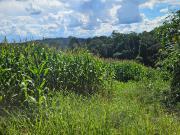 Chácara para venda em Contenda em Contenda Paraná de...