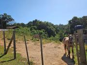 Chácara para venda em Zona Rural em Contenda Paraná de...