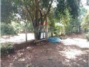 Chácara para venda em Estiva Gerbi em Estiva Gerbi São...