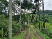 Chácara para Venda em Itanhaém, Mambú, 2 dormitórios, 1...