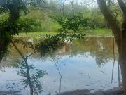 Chácara para venda em Jardim 31 De Março em Mogi Mirim...