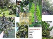 Chácara para Venda em Juquitiba, 3 dormitórios, 1 suíte,...