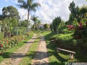 Chácara para Venda em Louveira, Monterrey, 2...