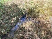Chácara para Venda em Pedra Bela, Zona Rural, 1...