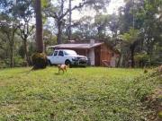 Chácara para venda em Portão de 5460.00m² com 1 Quarto
