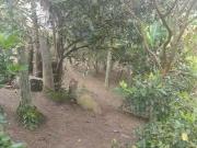 Chácara para venda em Sorocamirim de 100.00m² com 5...