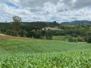 Chácara para venda em Tijucas Do Sul em Tijucas Do Sul...