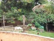 Chácara com 2 quartos à venda em Chácaras São Guido SP