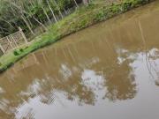 CHÁCARA PARAISO DOS PEIXES R$ 280.000 LAGO / PISCINA...