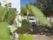 Chacara, Parque Dante Marmirolli, Sumaré, SP