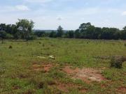 Chácara Plana 45.240m² na Região do Barreiros