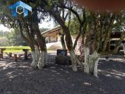 Chácara Próximo ao Centro de Viamão